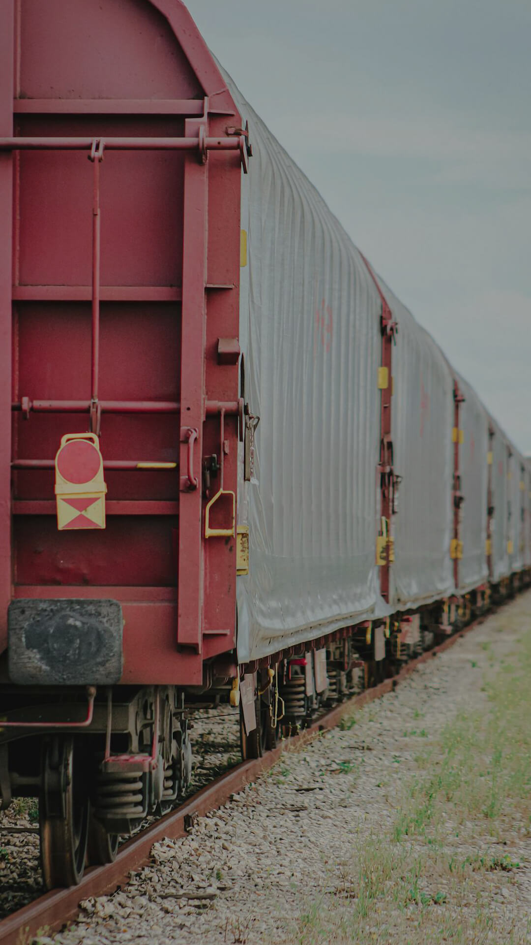 Dynamic Content Image